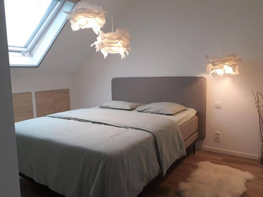 Villa Minus Is Joenus à Ostende Extérieur photo